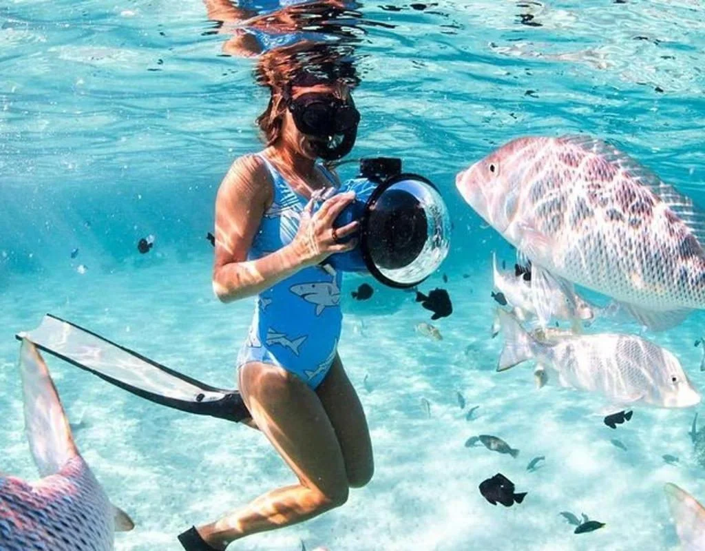 Safaga Snorkeling Trip to Giftun Island | Red Sea Adventure