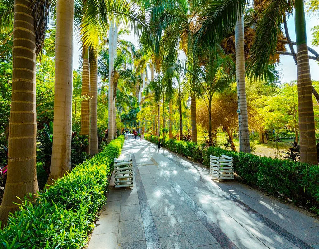gallery