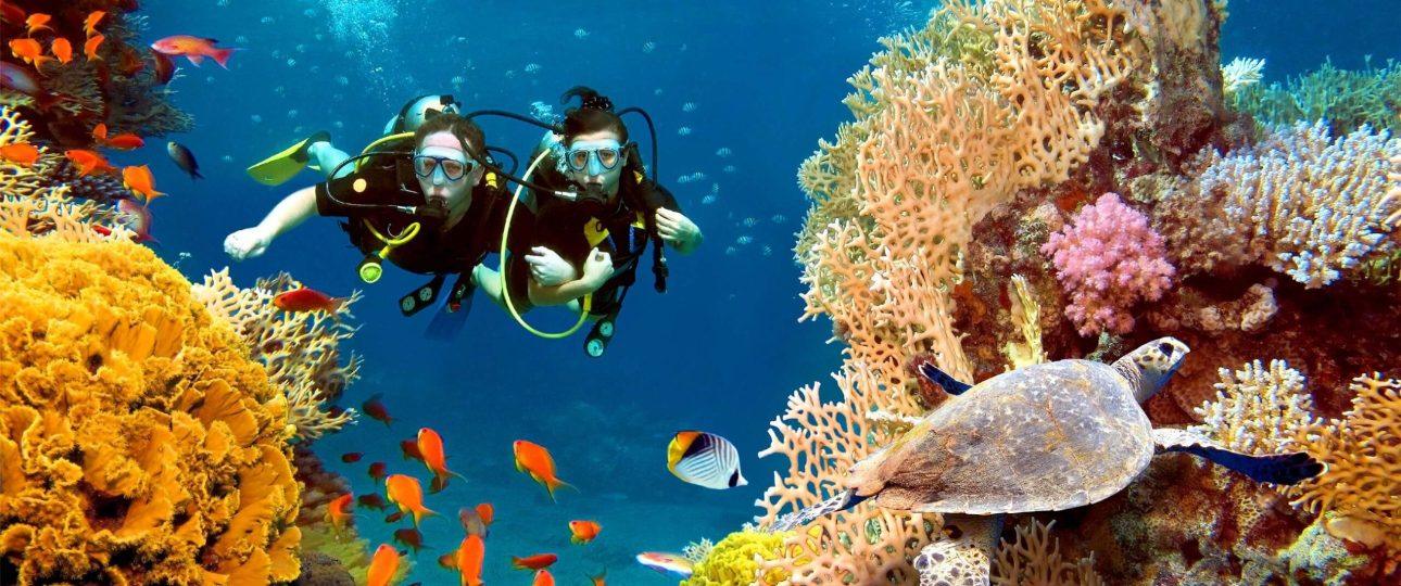 Scuba diving Hurghada