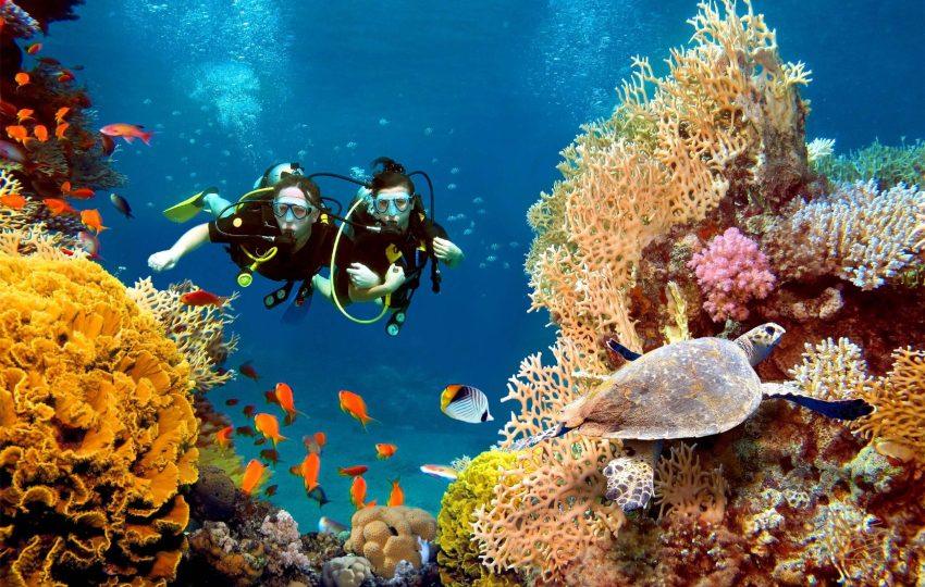 Scuba diving Hurghada