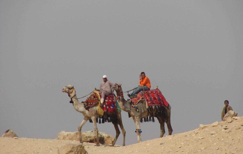 Bedouin Safari and Star Gazing Tour