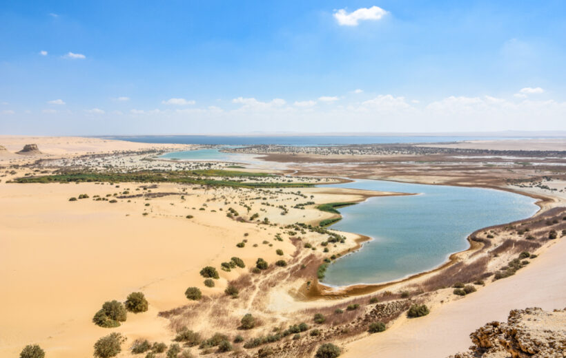 Day Tour to El Fayoum from Cairo